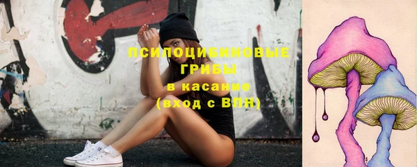 дживик Беломорск